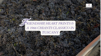 A dinner with friends in Tuscany, harvest